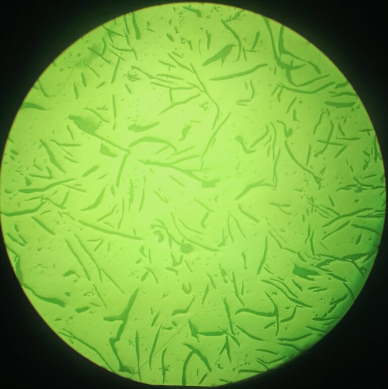 the-definitive-guide-to-cast-iron-microstructure-testing-iron-casting