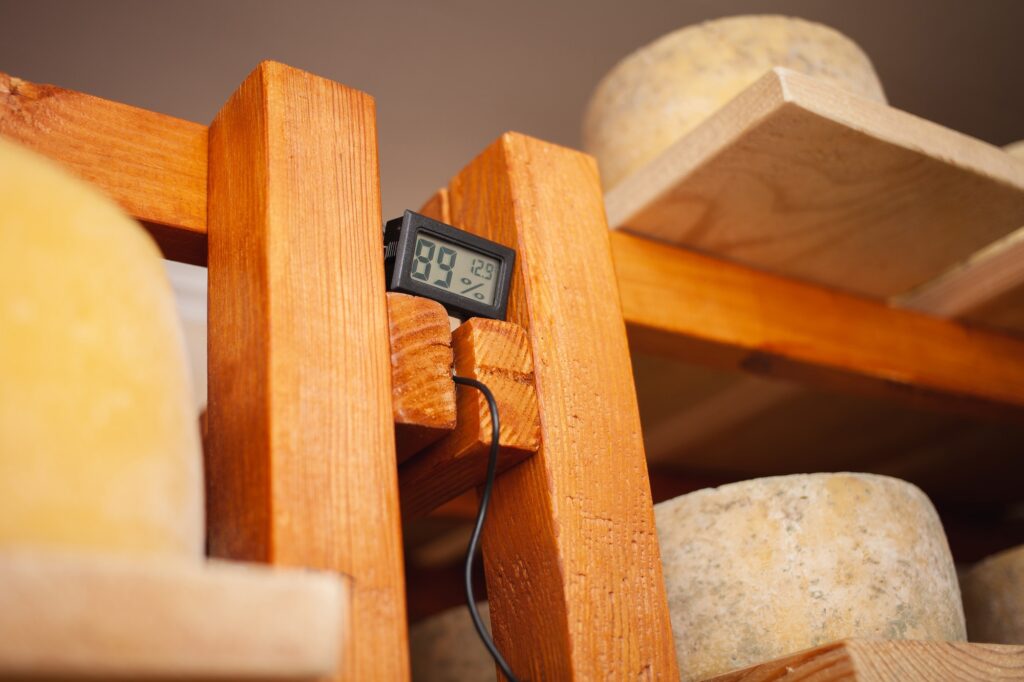 High humidity in cellar, basement. Cheeses on wooden shelves, ripen with mold. Home production